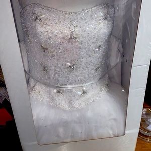 Wedding dress and matching tiara